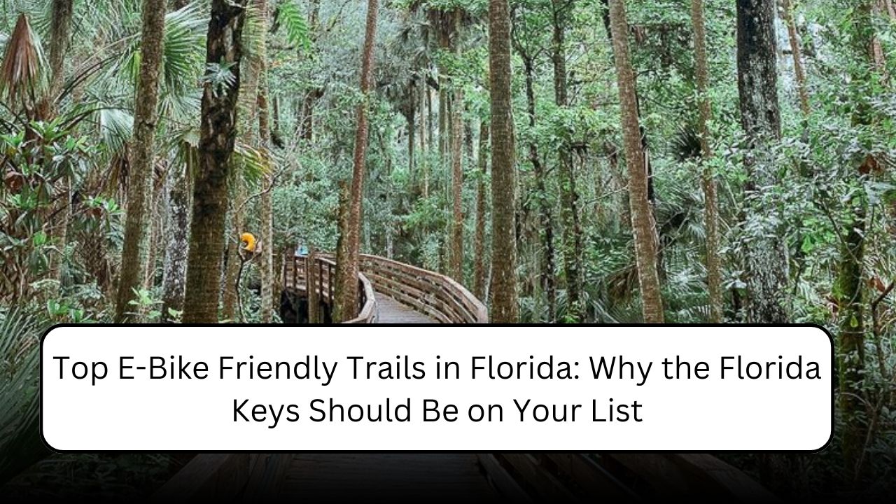 Top E-Bike Friendly Trails in Florida: Why the Florida Keys Should Be on Your List