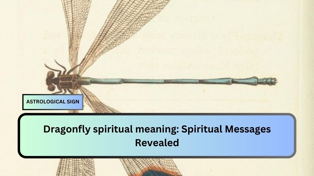 Dragonfly spiritual meaning