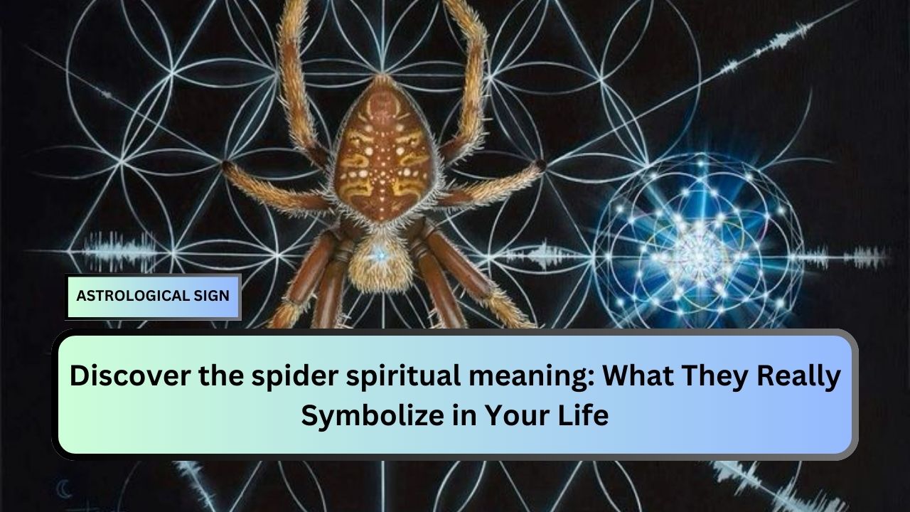 spider spiritual meaning