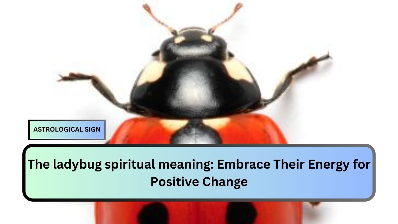 ladybug spiritual meaning