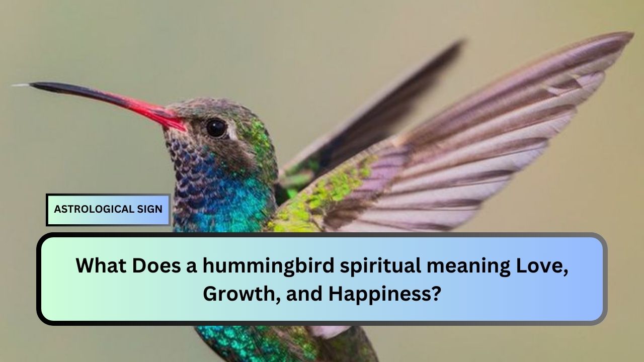 hummingbird spiritual meaning