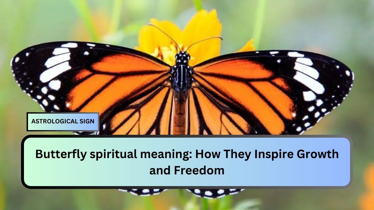 Butterfly spiritual meaning