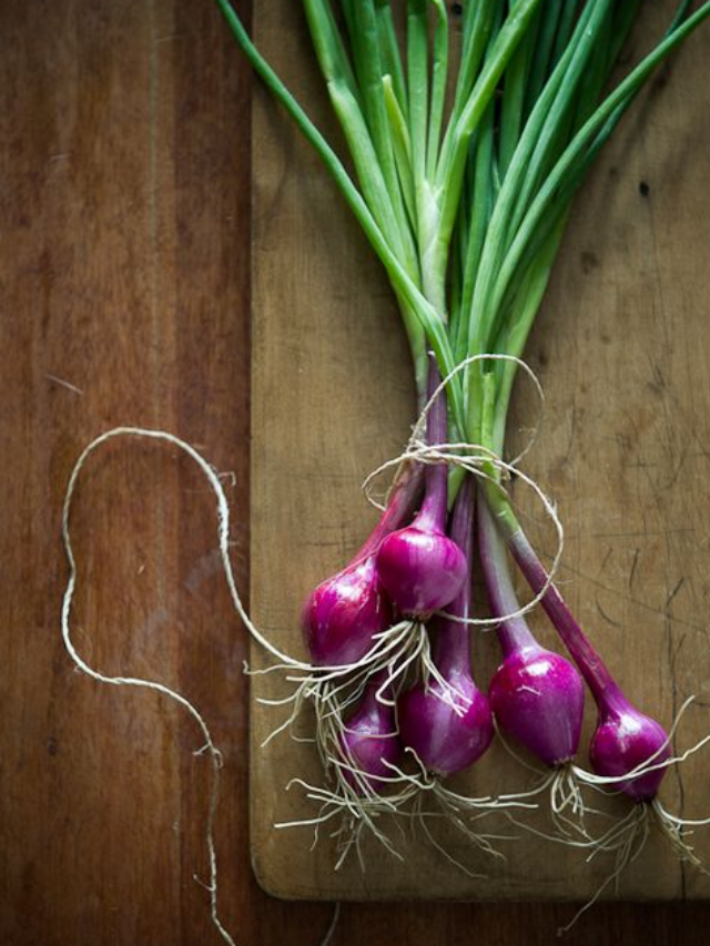 Onion for hair care: How its nutrients help reduce hair fall naturally