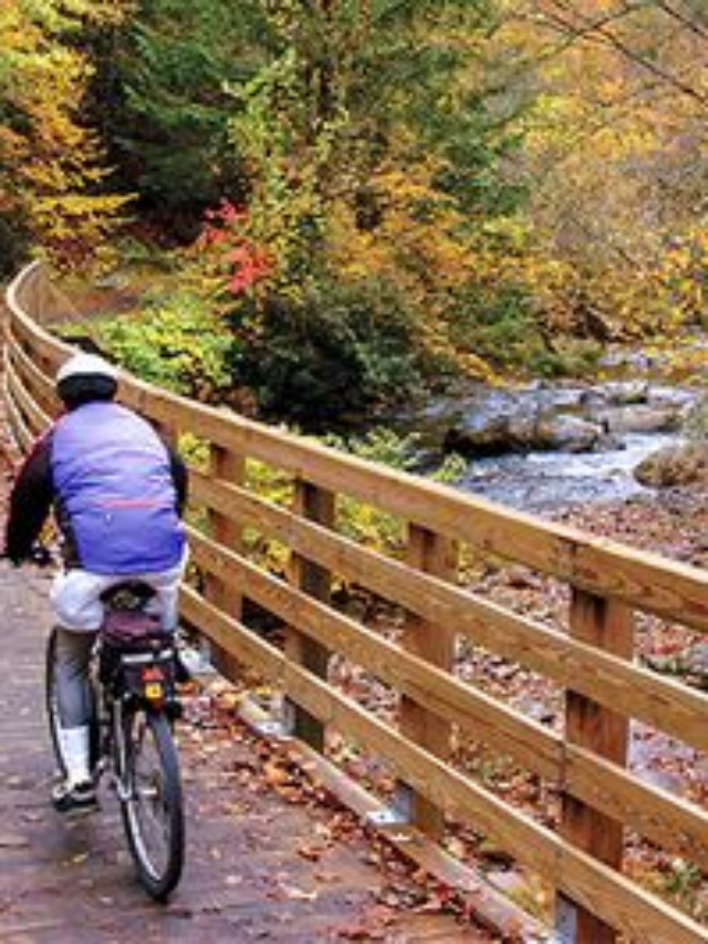 Discovering The Virginia Creeper Trail: A Scenic Adventure Through Virginia's Appalachian Mountains