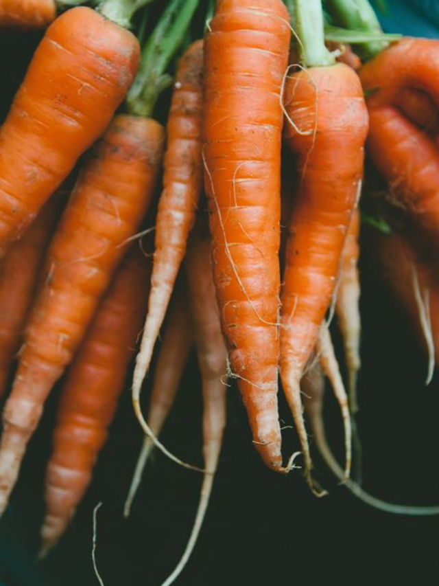 Here are 5 amazing health benefits carrots can offer you