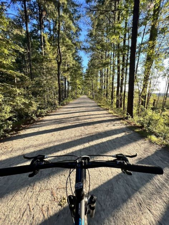 Discovering The Pismo Preserve Trails: A California Oasis of Nature and Adventure