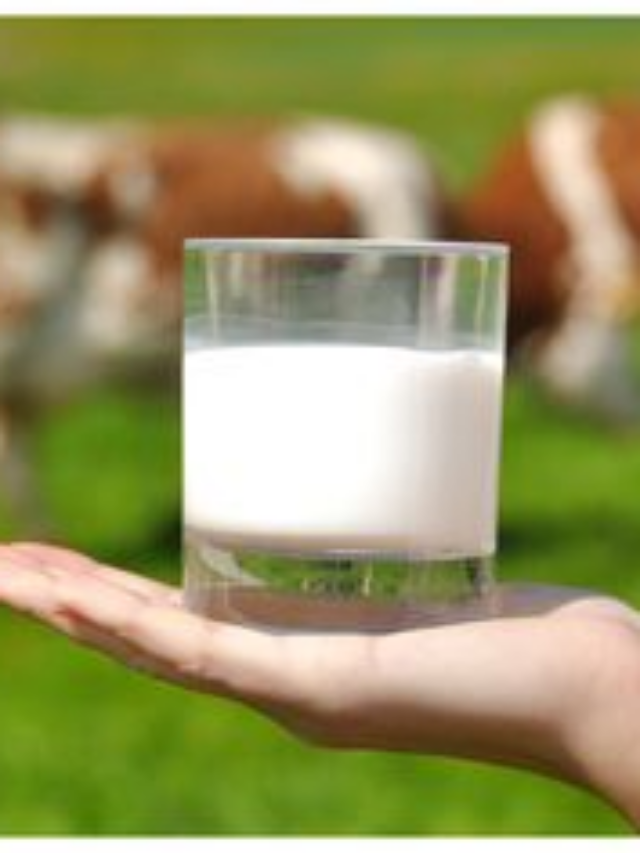 5 Benefits offered by cow milk and why 1 cup of it is a must for everyone