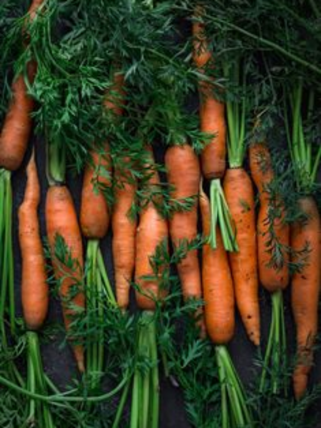 Top 8 Health Benfits Of Carrots