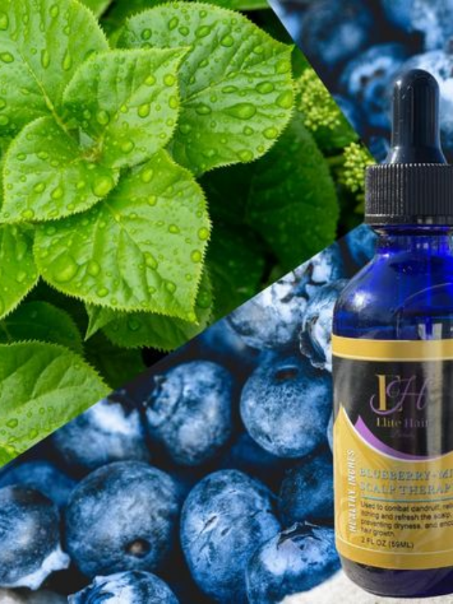 Enhancing focus with blueberry seed oil