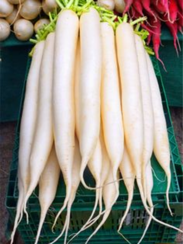 11 reasons to add Radish to your daily diet