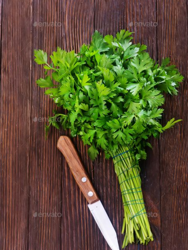 How to Revive Wilted Parsley and Cilantro